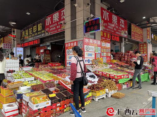探访广西最大水果批发市场 果品货源足水果放心吃