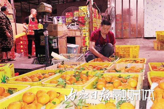 内江水果批发市场 鲜果飘香迎客来 交易活跃人气旺
