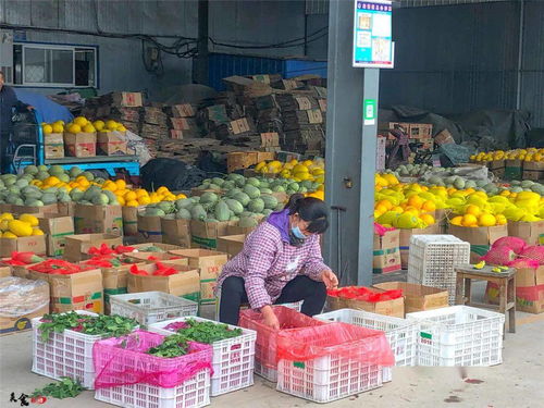 这个很多潍坊人都不知道的水果批发市场,100 就能拿下500块钱的水果...