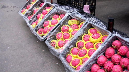 太原 两节供应充足 果蔬产品量大又实惠