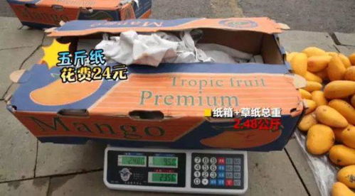 去批发市场买水果划算吗