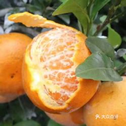 电话,地址,价格,营业时间