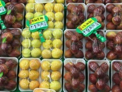 田园情果品批发行