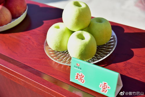 丹桂飘香 硕果累累 陕西苹果走向世界