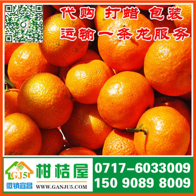 【堤口果品晚熟柑橘水果供应 济南市堤口果品晚熟柑橘销售产地批发价格】堤口果品晚熟柑橘水果供应 济南市堤口果品晚熟柑橘销售产地批发价格批发价格,厂家,图片,湖北宜昌柑桔屋专业合作社 -