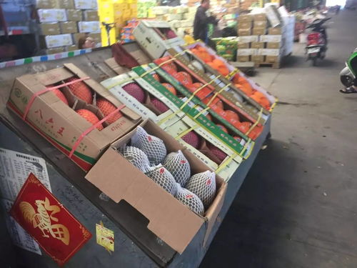 探 城│沈阳八家子 实拍东北最大的果品批发市场