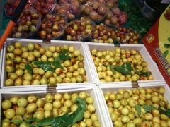 绿色果品超级批发行(昌明街店)-图片-shaoxing购物-大众点评网