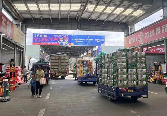 价格大跳水?批发价已逼近1元/斤,正大量上市