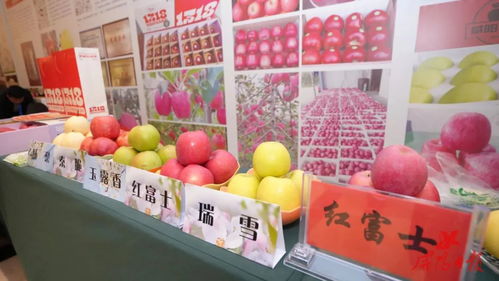 咸阳马栏红 苹果亮相武汉