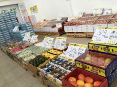 诚实果品批发行(康沈路店)