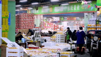 刀砍 枪吓 沈阳八家子水果批发市场黑恶势力团伙被判刑了