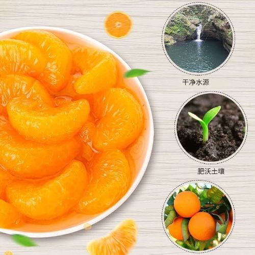 橘子罐头新鲜桔子黄桃雪梨网红水果罐头食品整箱批发