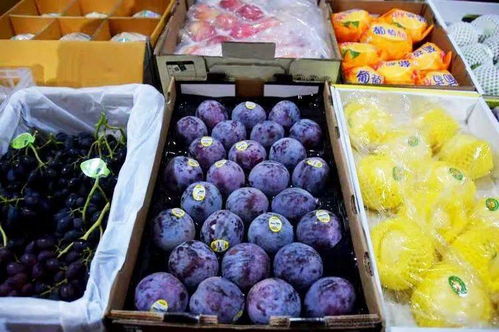 12月4日一起来渝北海领市场买精品水果, 捡趴活