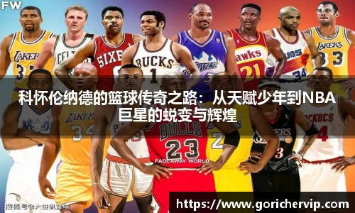 bsports官网入口