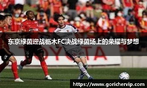 东京绿茵迎战枥木FC决战绿茵场上的荣耀与梦想