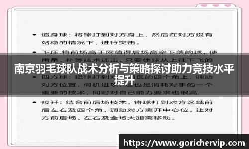 南京羽毛球队战术分析与策略探讨助力竞技水平提升