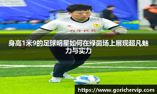 身高1米9的足球明星如何在绿茵场上展现超凡魅力与实力